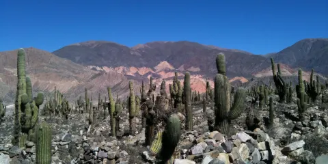 Pucara de Tilcara考古遺址