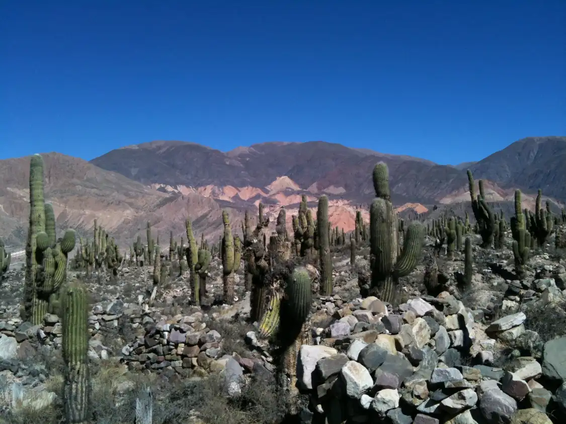 Hotels near Pucará de Tilcara