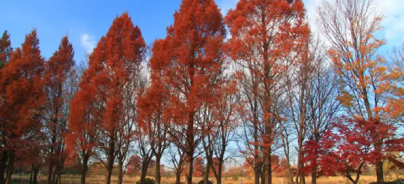 三郷のホテル
