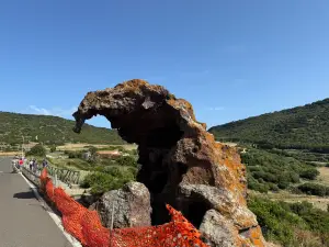 Roccia dell'Elefante