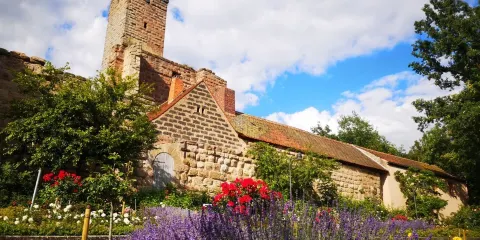 Burgruine Hilpoltstein