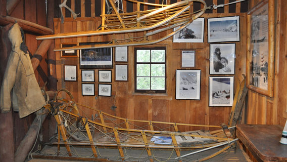 Denali Sled Dog Kennels