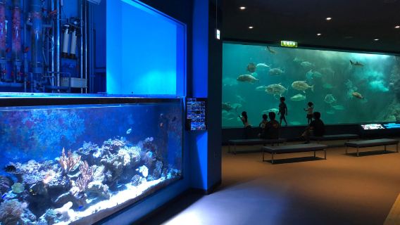 Wakayama Prefectural Museum of Natural History