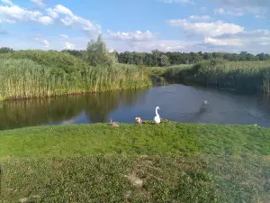 "Obedska bara" Nature Preserve