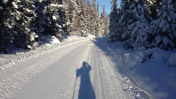 Fairbanks