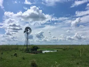 Attwater Prairie Chicken National Wildlife Refuge