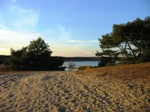 Sahara Lommel
