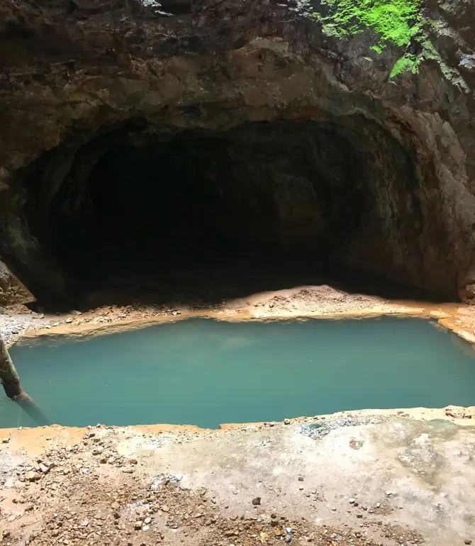 Senyubuk