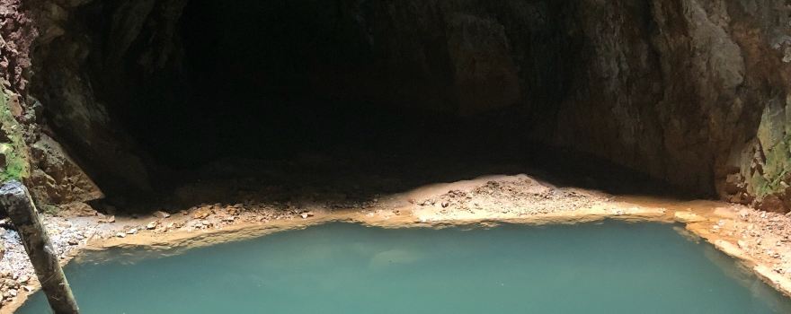 Senyubuk