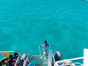 View Ningaloo