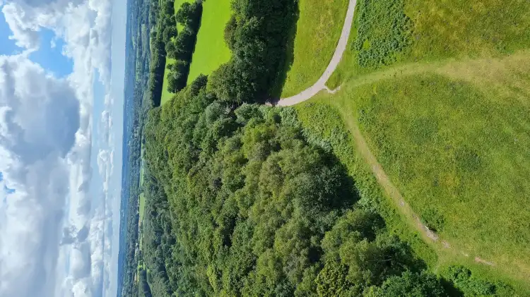 Wellington Without住宿飯店