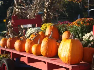 Coppal House Farm