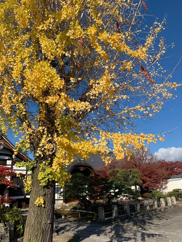 3_Myōkaku-ji Temple