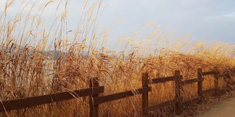 注南水庫
