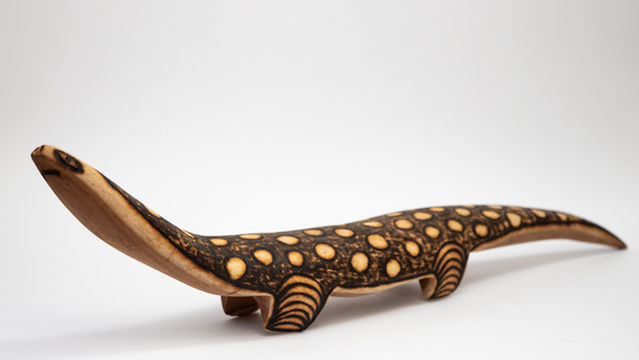 This Is Aboriginal Art