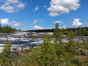 Trappstegsforsen