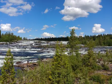 Vilhelmina Municipality