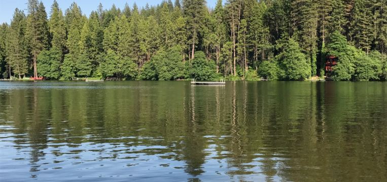 Things to do in Twain Harte - Trip.com