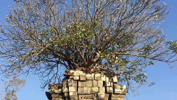 Prasat Bakong