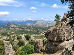 Foresta Demaniale Montes