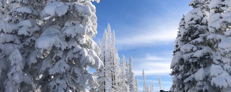 Lofty Peaks Adventures LLC