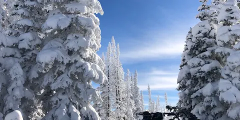 Lofty Peaks Adventures