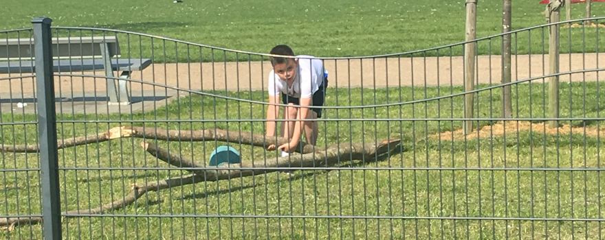 Withy Grove Park