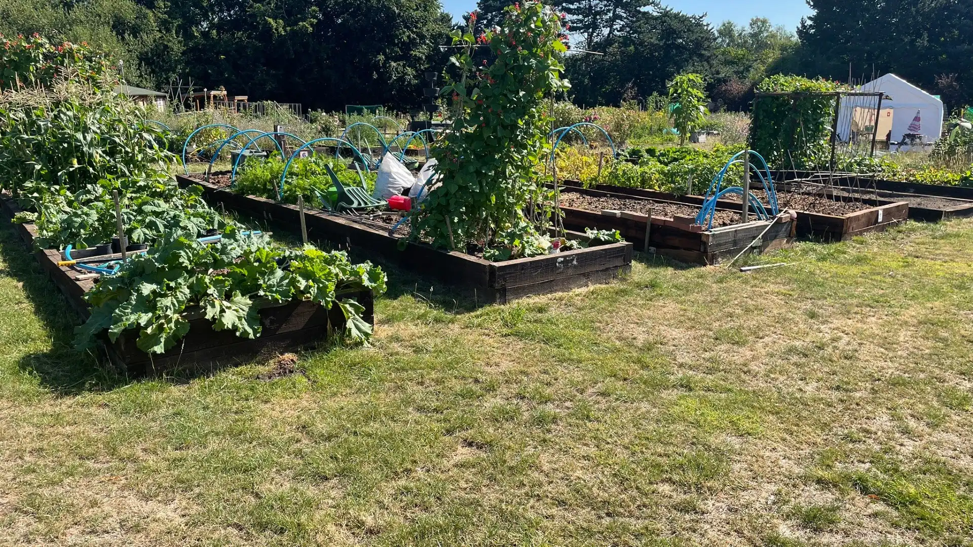 Hotels near Goscote Greenacres Community Garden