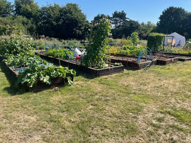 Hotels near Goscote Greenacres Community Garden