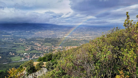 Spoleto