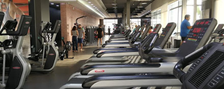 THE GYM By Mike Sport