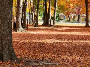 Palmer Park Mancelona Mi
