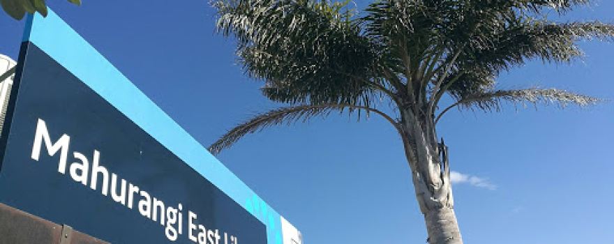 Mahurangi East Library