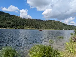 Innerstestausee