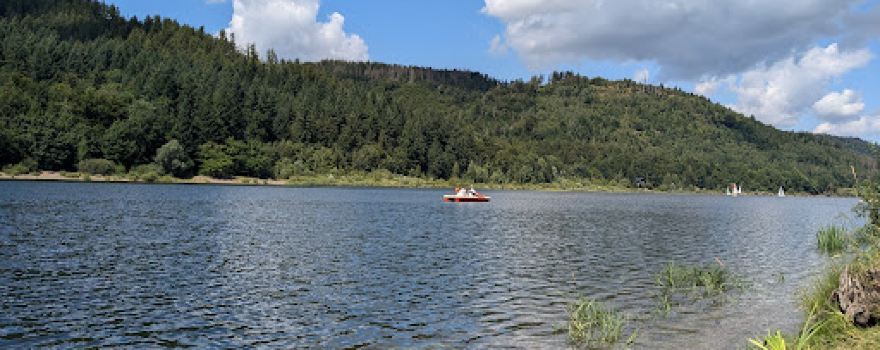 Innerstestausee