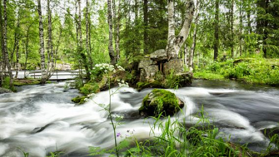 Käylänkoski Rapids