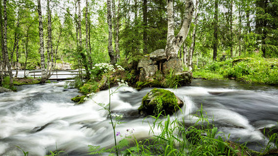 Käylänkoski Rapids