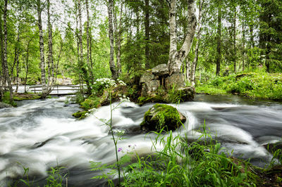 Käylänkoski Rapids