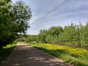 Stadion Sîrcova