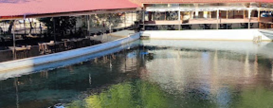 Turgutalp Pool Park