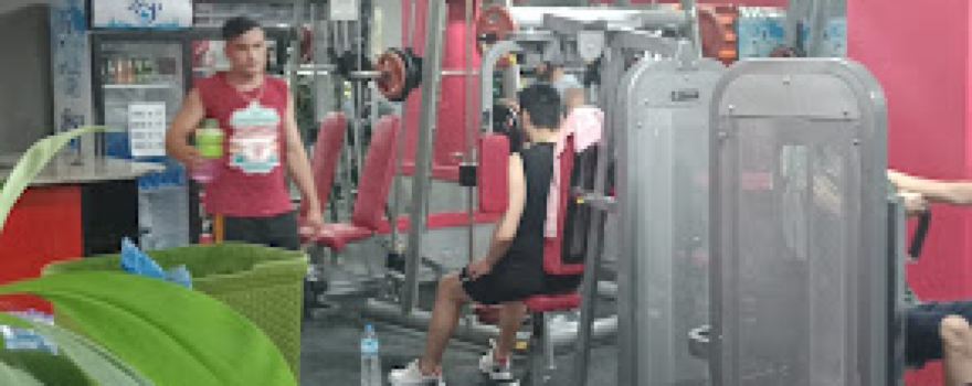 Ekol Fitness & Spor Home