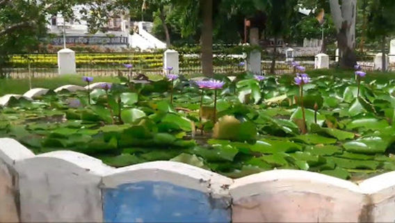 Кундалпер