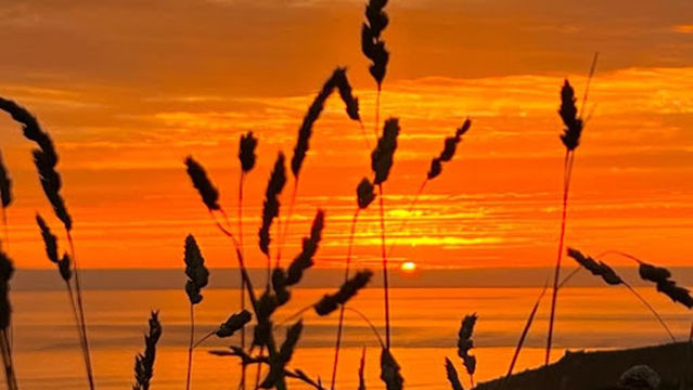 Trevedra Farm Caravan & Camping Site