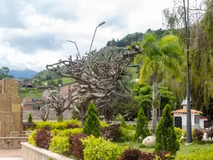 Matanza, Santander Main Park