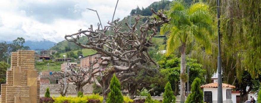 Matanza, Santander Main Park