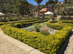 Jardin Botanique Anosy