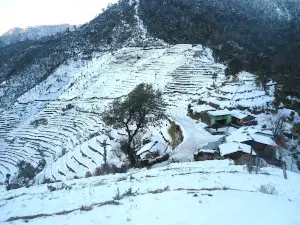 Dal Lekh Top