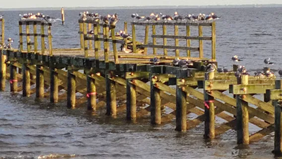 Jim Simpson, Sr. Memorial Fishing Pier