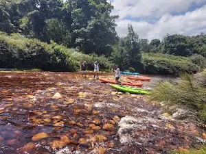 Dune Adventures Knysna River Kayaking