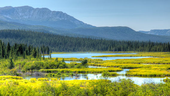Squanga Lake Campground